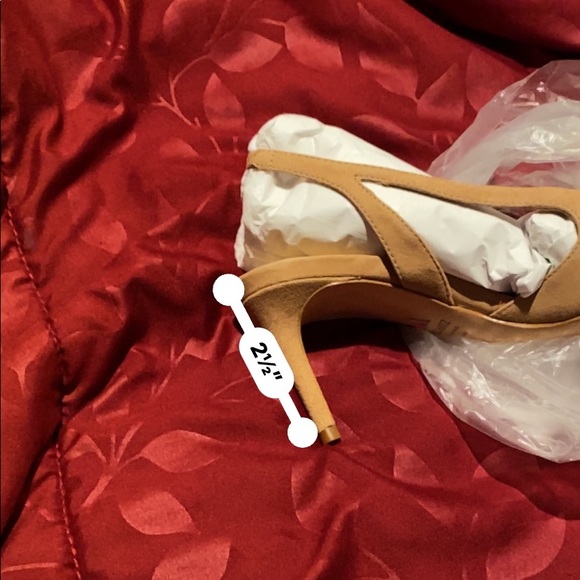 Schutz - Picture 6 of 6